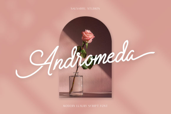 Andromeda: The Font That Transformed My Bakery’s Brand