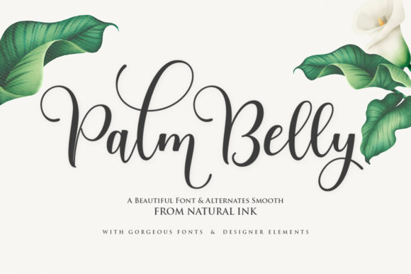 Palm Belly Script Font Review for Editorial Design