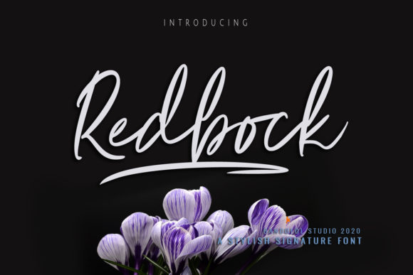 Redbock: The Font That Elevates Your Campaigns