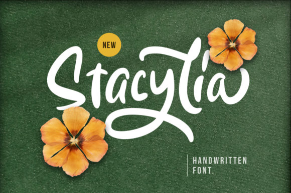 Stacylia: A Handwritten Font for Editorial Expression